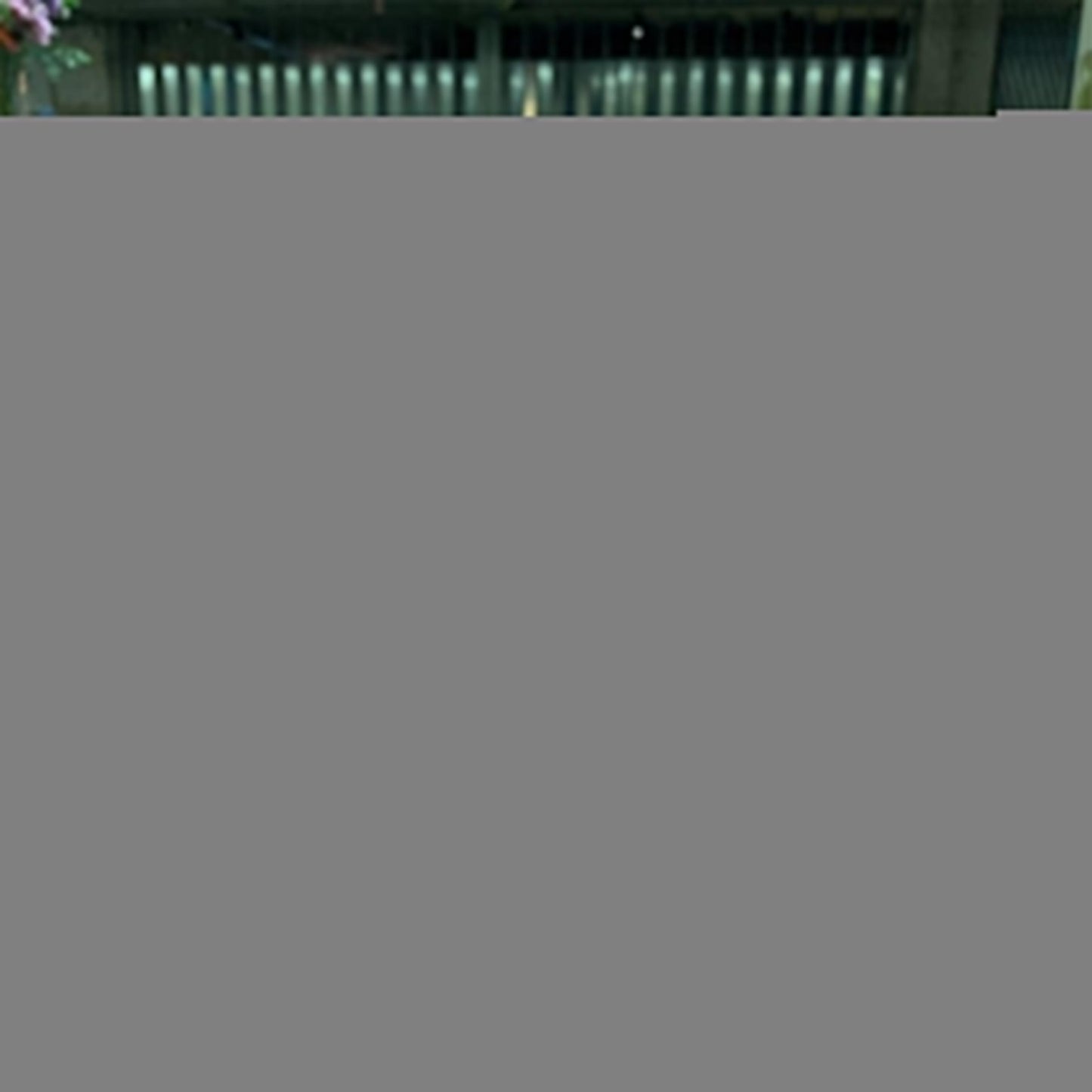 Customize Photo Transparent Silicon Case For Oppo